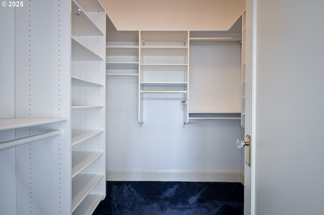 1856 SE Saint Andrews Dr, Portland, OR 97202 - view of spacious closet