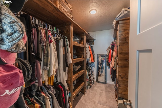walk in closet featuring carpet