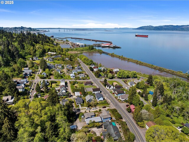 bird's eye view with a residential view and a water and mountain view