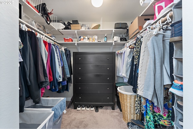 16760 SW Monaco Ln, Portland, OR 97224 - spacious closet with carpet floors