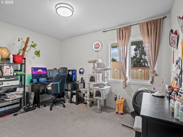 office space featuring carpet floors and a textured ceiling