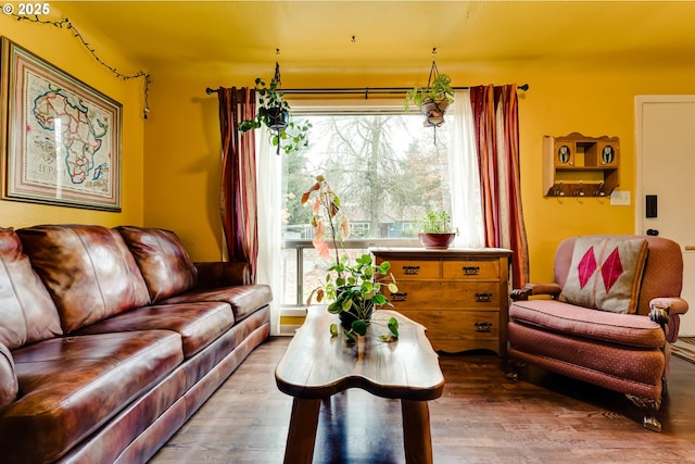 living room featuring plenty of natural light and wood finished floors