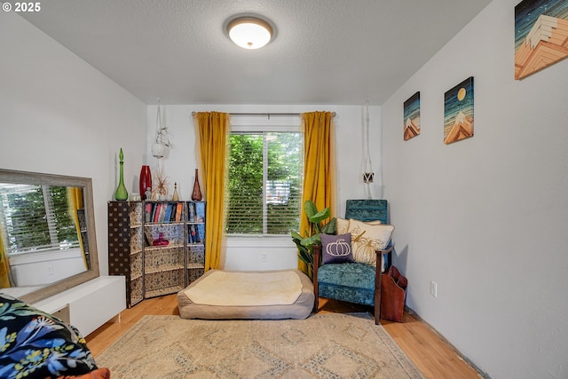 sitting room featuring wood finished floors and a textured ceiling