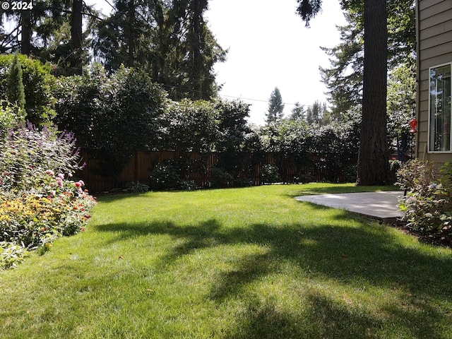 4506 Black Forest Ct, Lake Oswego, OR 97035 - view of yard with a patio area