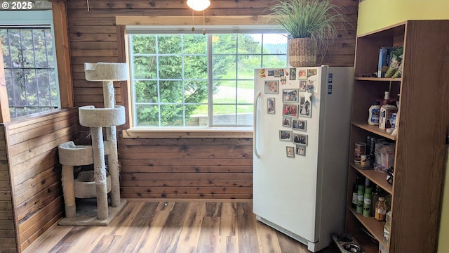 interior space with wood walls and wood finished floors