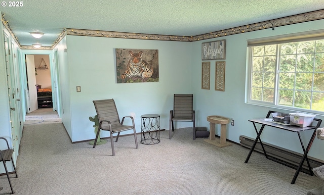 sitting room featuring carpet, a textured ceiling, and baseboard heating
