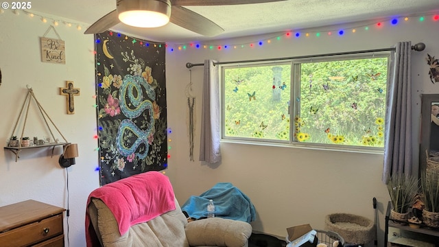 living area with ceiling fan