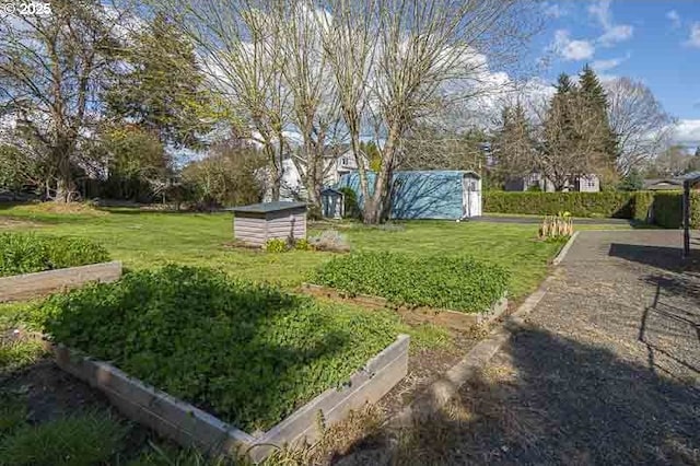 1216 Montgomery Pl NE, Albany, OR 97321 - view of grassy yard