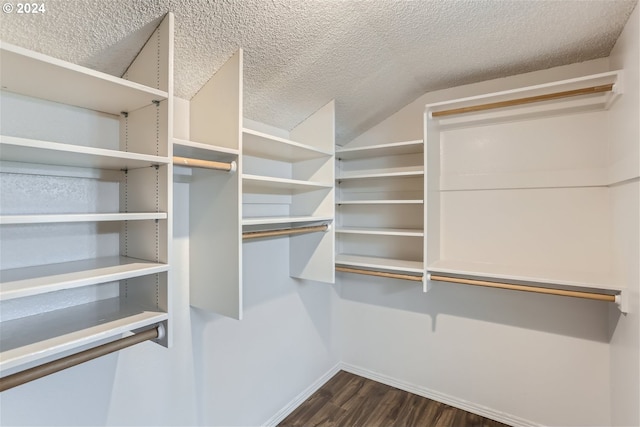 walk in closet featuring vaulted ceiling and dark hardwood / wood-style floors