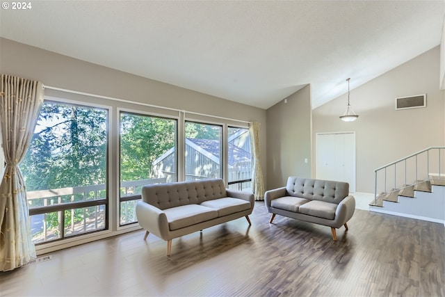 living room featuring lofted ceiling, a wealth of natural light, and wood-type flooring