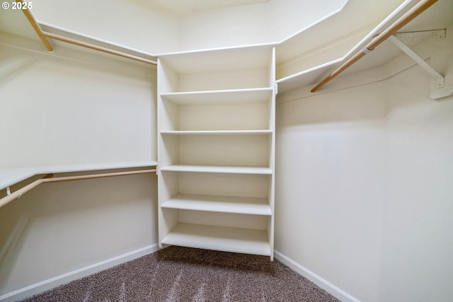 walk in closet with carpet