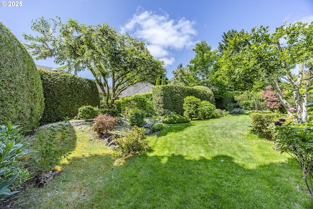 2943 Riverwalk Loop, Eugene, OR 97401 - view of green lawn