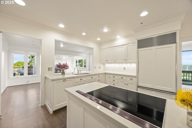 616 NW Westover Ter, Portland, OR 97210 - kitchen featuring black electric stovetop, paneled fridge, a sink, ornamental molding, and white cabinetry