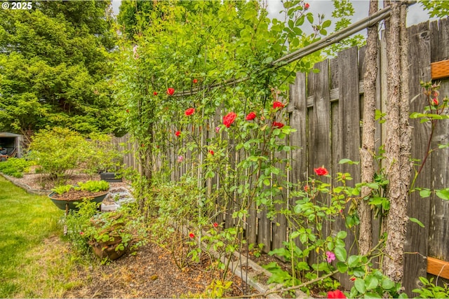5200 NW 168th Pl, Portland, OR 97229 - view of yard