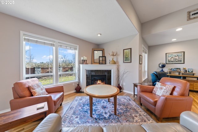 living room featuring a fireplace and light hardwood / wood-style floors