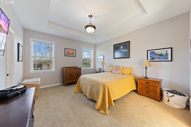 carpeted bedroom featuring a raised ceiling