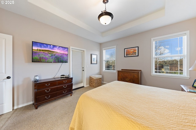 bedroom featuring light colored carpet and a raised ceiling