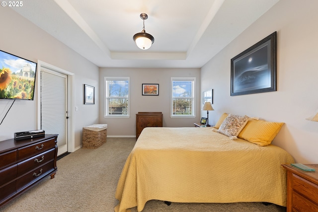 carpeted bedroom featuring a raised ceiling