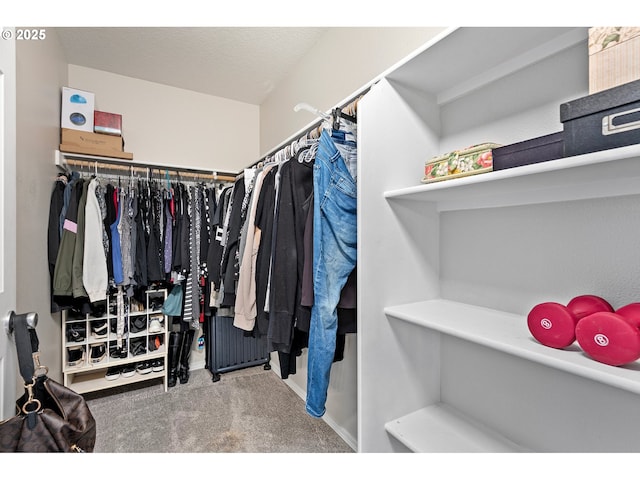 spacious closet with carpet floors