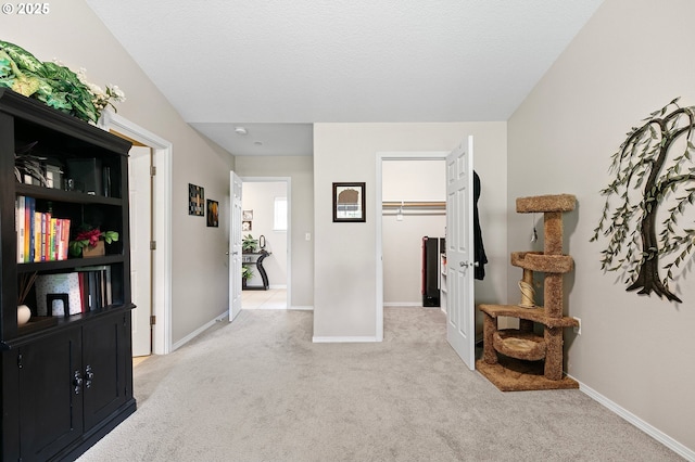 30366 SW Ruth St Unit 70, Wilsonville, OR 97070 - corridor with carpet floors and baseboards