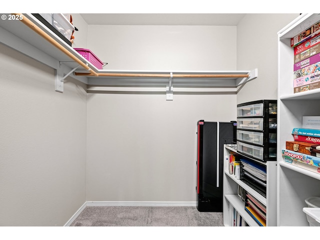 walk in closet with carpet floors