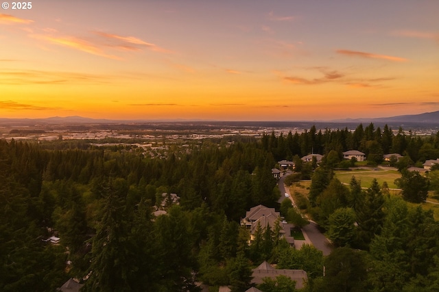 3169 Tanner Park Dr, Eugene, OR 97405 - aerial view at dusk of a mountain view and a forest view
