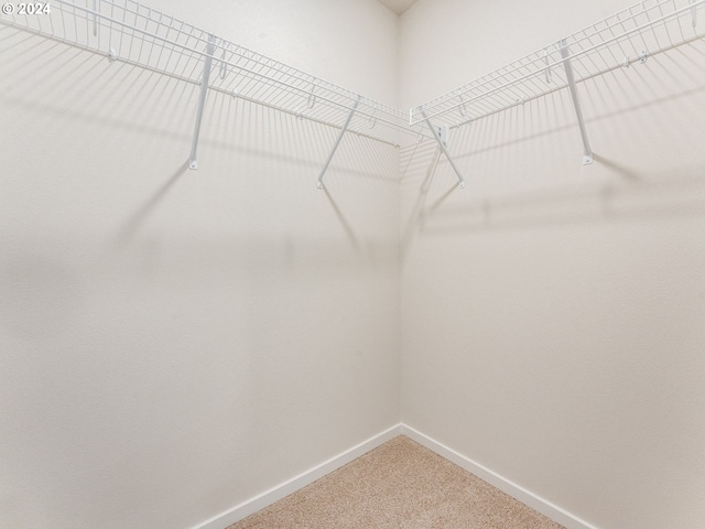 spacious closet with carpet flooring