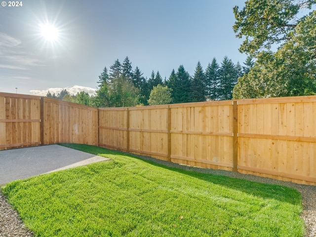 view of yard with a patio