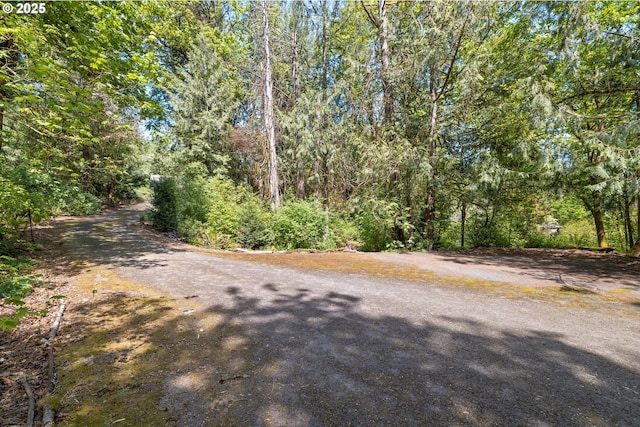 3820 SW Scholls Ferry Rd, Portland, OR 97221 - view of road featuring a view of trees