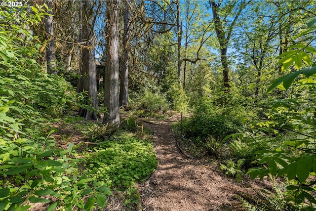 3820 SW Scholls Ferry Rd, Portland, OR 97221 - view of local wilderness