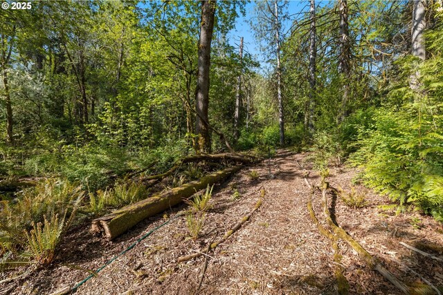 3820 SW Scholls Ferry Rd, Portland, OR 97221 - view of nature with a wooded view