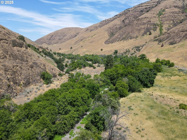 1056 Rock Creek Rd, Goldendale, WA 98620 - mountain view