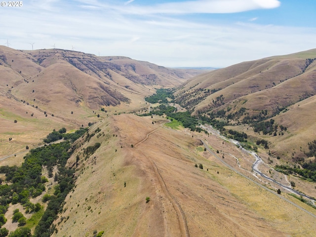 1056 Rock Creek Rd, Goldendale, WA 98620 - view of mountain background