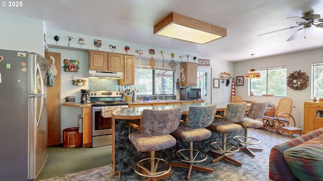 84932 Straw Springs Ln, Milton-Freewater, OR 97862 - kitchen with appliances with stainless steel finishes, under cabinet range hood, carpet floors, and healthy amount of natural light