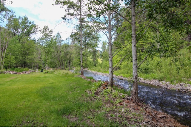 84932 Straw Springs Ln, Milton-Freewater, OR 97862 - view of yard