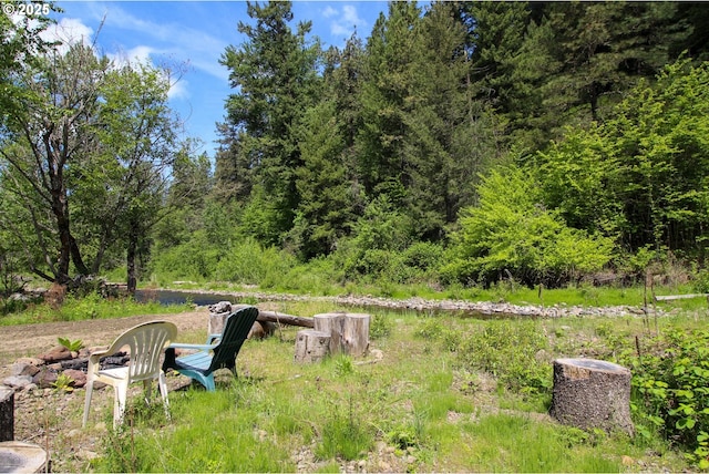 84932 Straw Springs Ln, Milton-Freewater, OR 97862 - view of yard