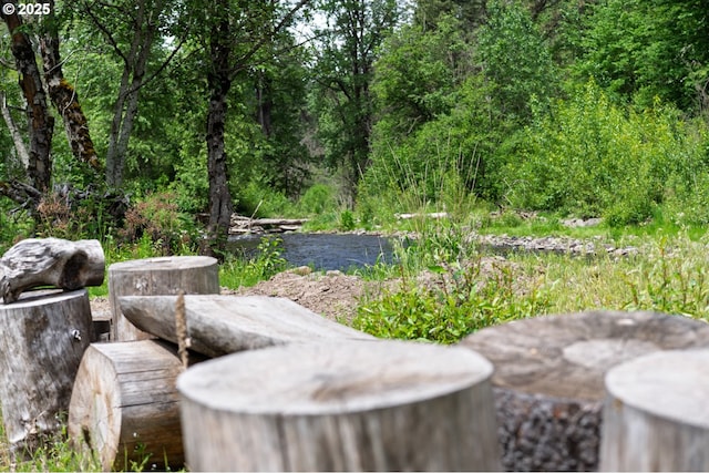 84932 Straw Springs Ln, Milton-Freewater, OR 97862 - view of patio with a forest view