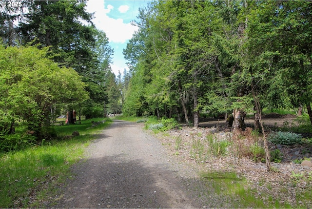 84932 Straw Springs Ln, Milton-Freewater, OR 97862 - view of road with a view of trees