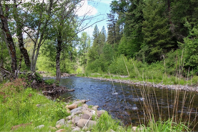 84932 Straw Springs Ln, Milton-Freewater, OR 97862 - water view with a forest