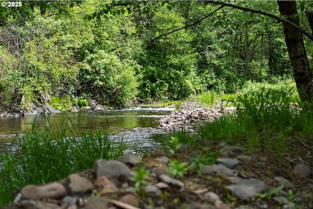 84932 Straw Springs Ln, Milton-Freewater, OR 97862 - water view with a forest