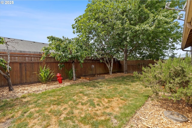 1218 Mt View Ln, Molalla, OR 97038 - view of fenced backyard