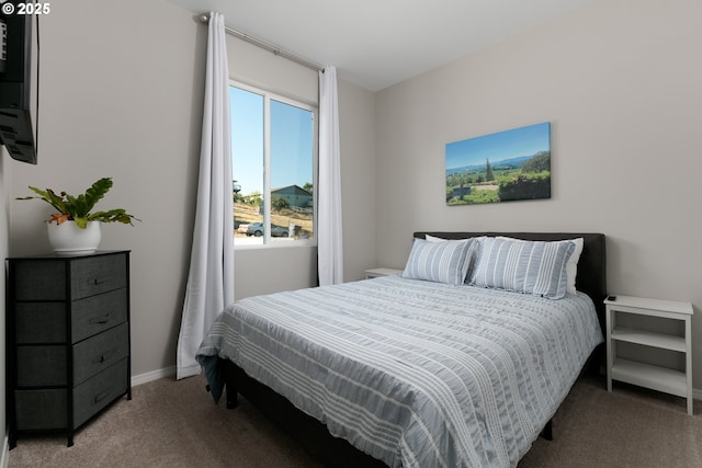 bedroom with carpet flooring