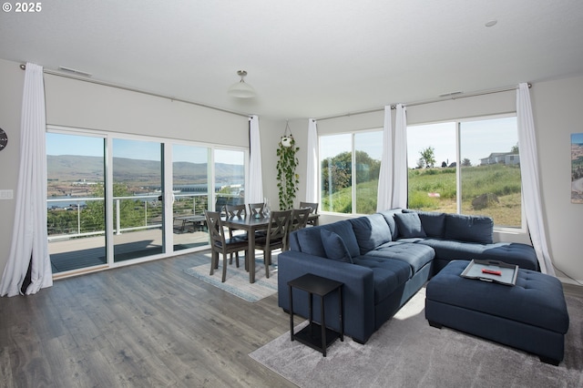 living room featuring hardwood / wood-style flooring and a mountain view