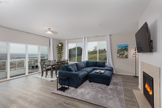 living room with a tiled fireplace and hardwood / wood-style floors