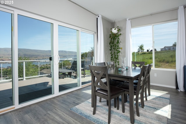 dining room featuring a mountain view, plenty of natural light, and dark hardwood / wood-style flooring