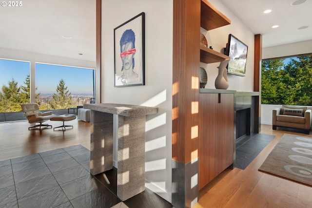 interior space with dark wood-type flooring