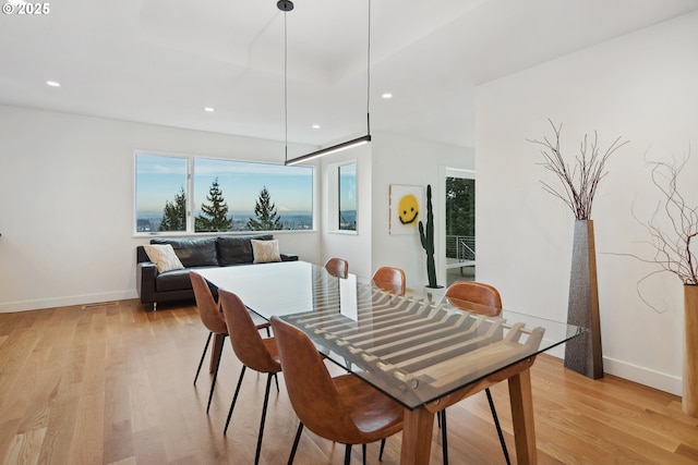 dining room with light wood-type flooring