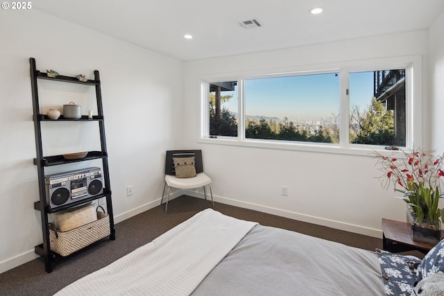 bedroom featuring dark carpet