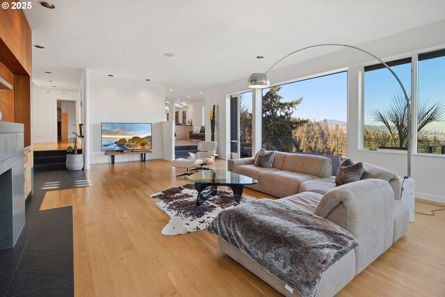 living room with a wealth of natural light and light hardwood / wood-style floors