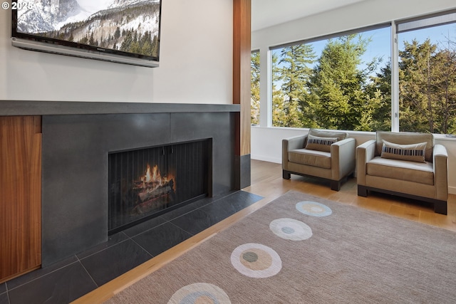 living room featuring hardwood / wood-style floors